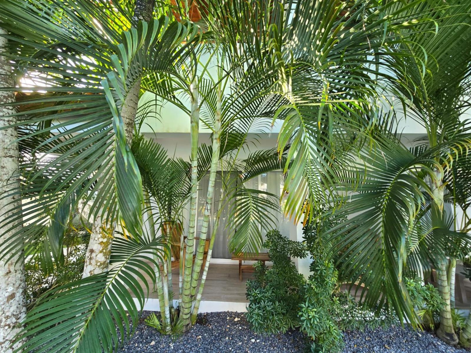Residencial Paraiso Bayahibe Exteriör bild
